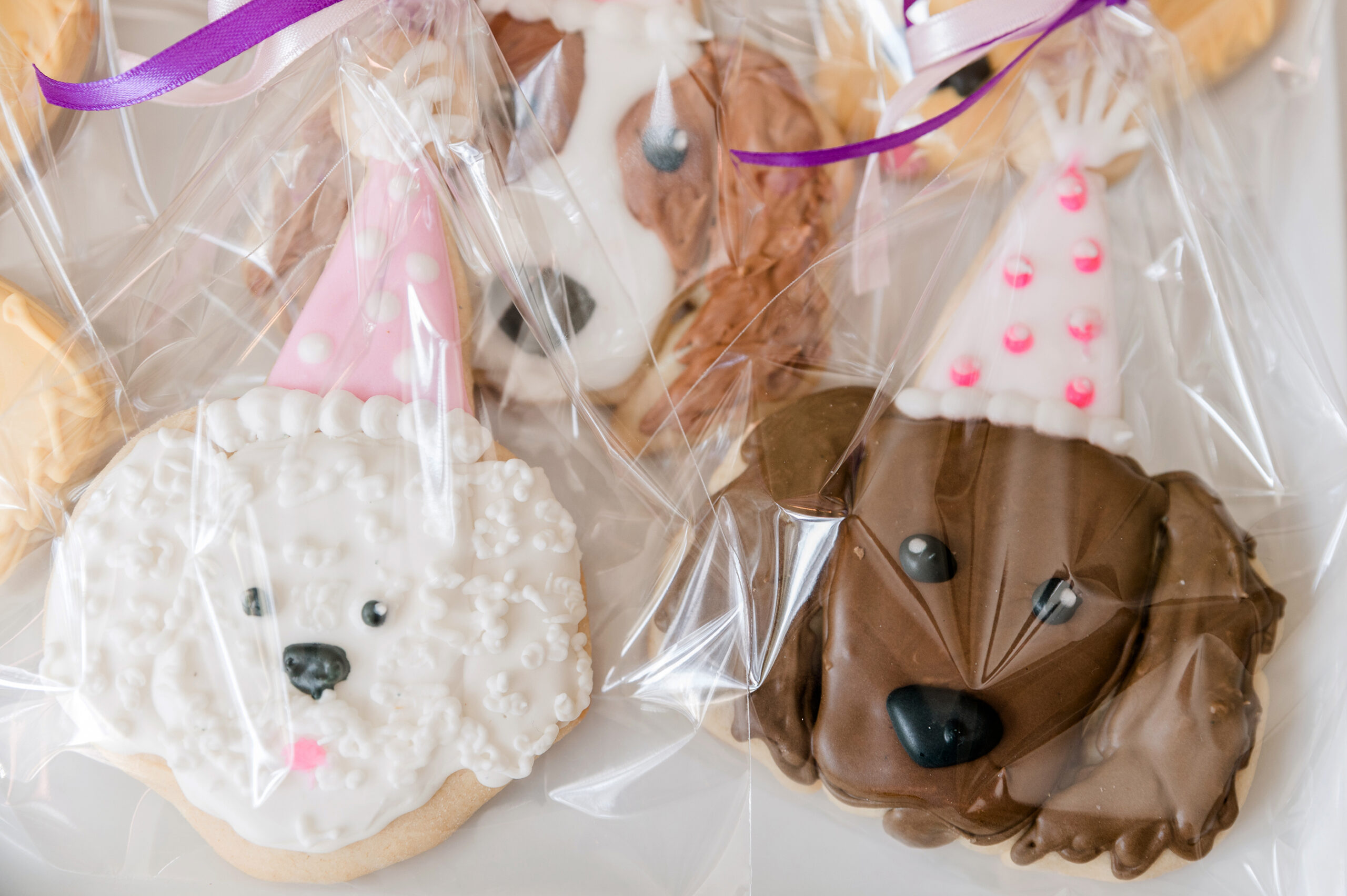 Cookies shaped like puppies from a Dallas toy store.