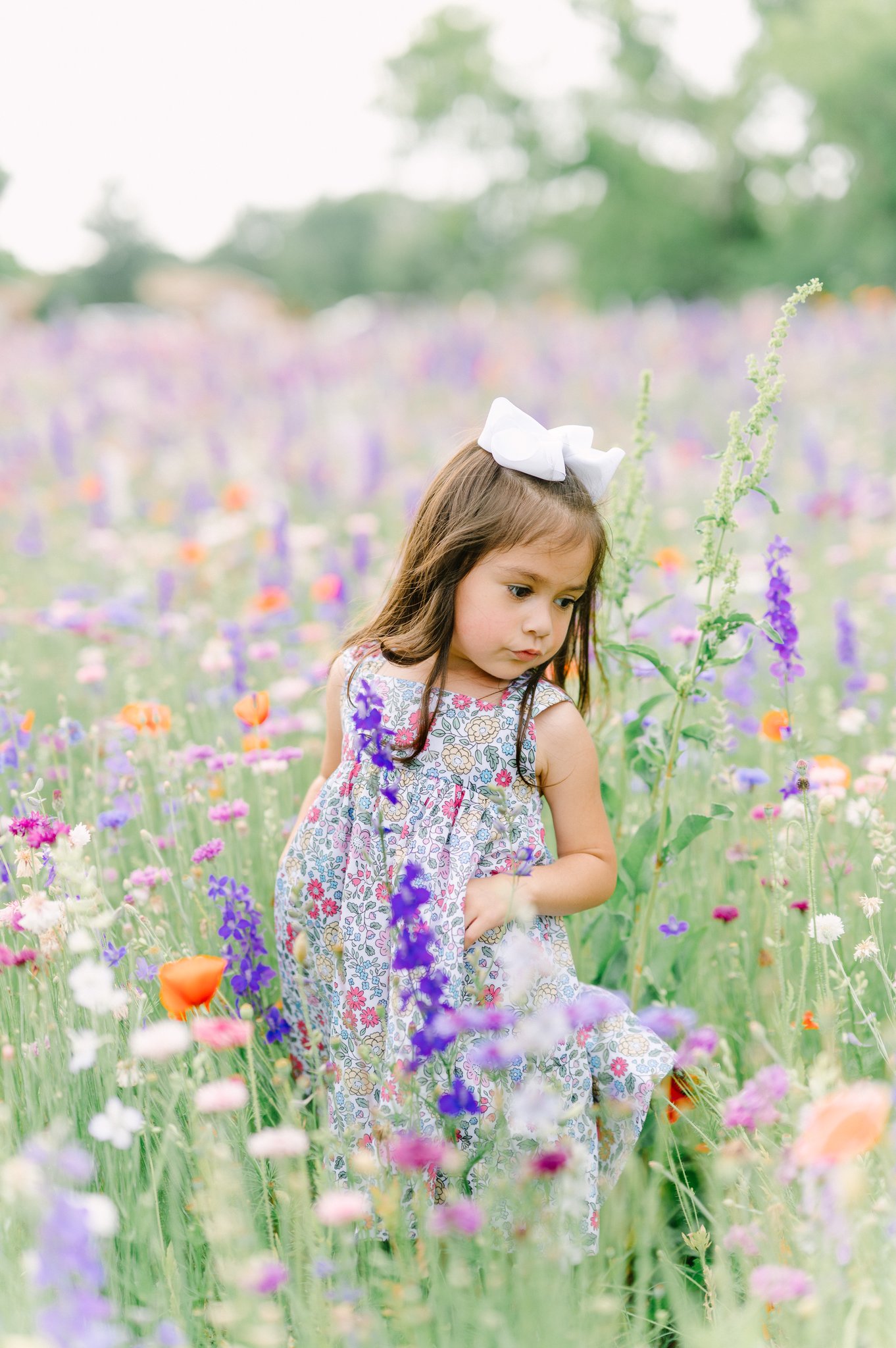 Young girl looking over her shoulder in a flower field near Highland Park.